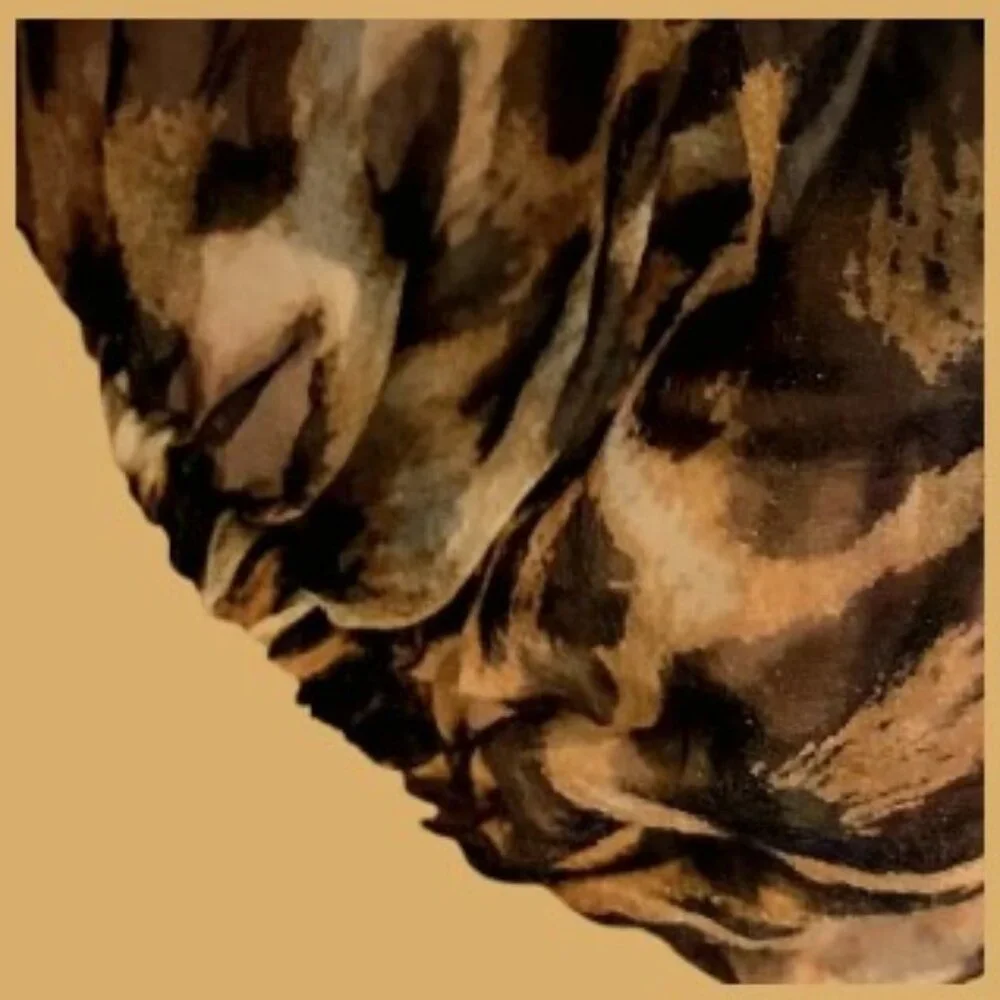 Zara Leopard Print Sheer Organza Shirt